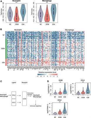 Frontiers | Integrative Analysis Of Bulk And Single-Cell RNA Sequencing ...